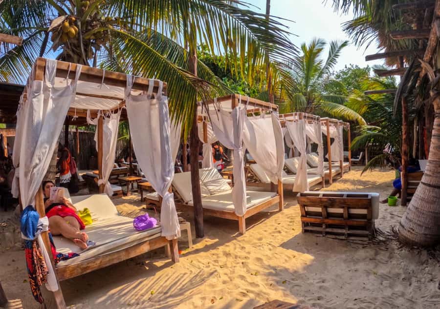 Cartagena: Barú Sunset Beach with Bioluminescent Plankton - Should You Book This Barú Sunset and Plankton Tour from Cartagena?