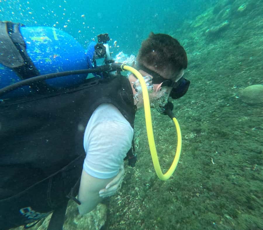 Cartagena: Basic Diving for beginners in Rosario Islands - Key highlights that matter