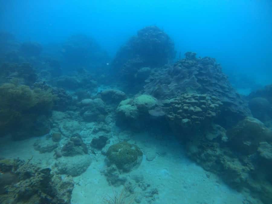 Cartagena: Basic Diving for beginners in Rosario Islands - Practical Tips: What to Bring, What to Avoid, and How to Stay Comfortable