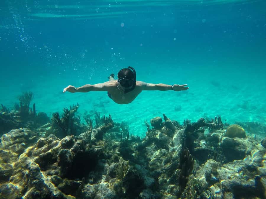 Cartagena: Basic Diving for beginners in Rosario Islands - The Beginner Scuba Lesson Plan: Theory, Gear, and Control