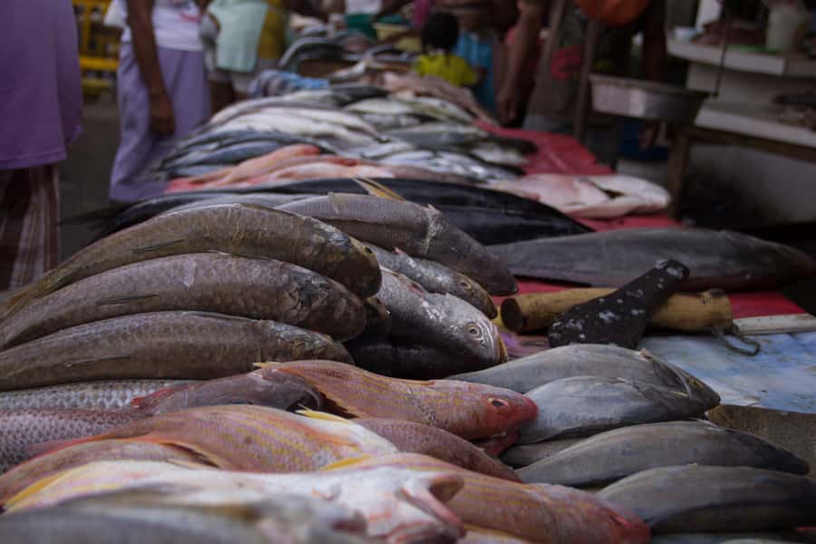 Cartagena Bazurto Market: Authentic Food & Culture Tour - Price and value: what $92 gives you, plus the VAT note