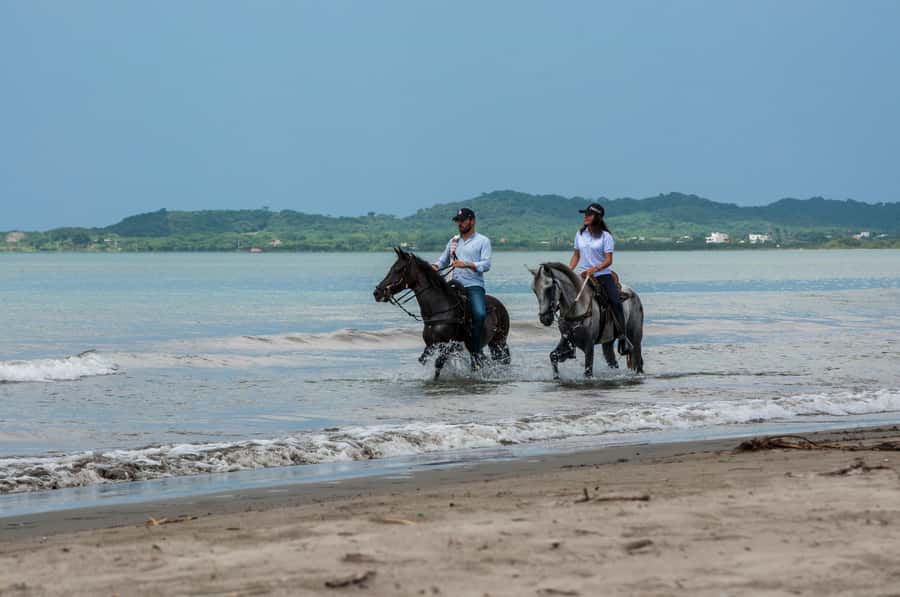 Cartagena: Beach Horse Ride and Colombian Equestrian Culture - Key Points Before You Go