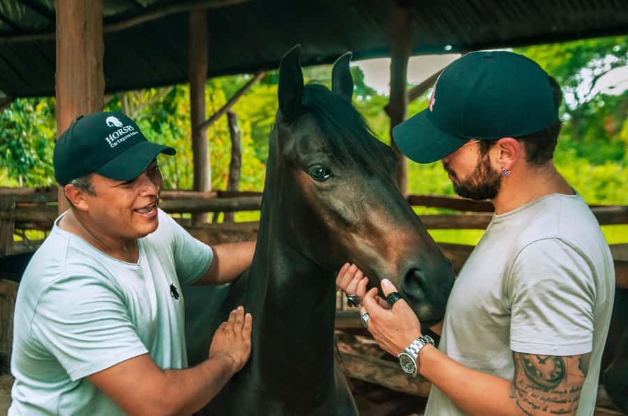 Cartagena: Beach Horse Ride and Colombian Equestrian Culture - From Cartagena Pickup to the Ranch Lesson on Paso Fino Horses