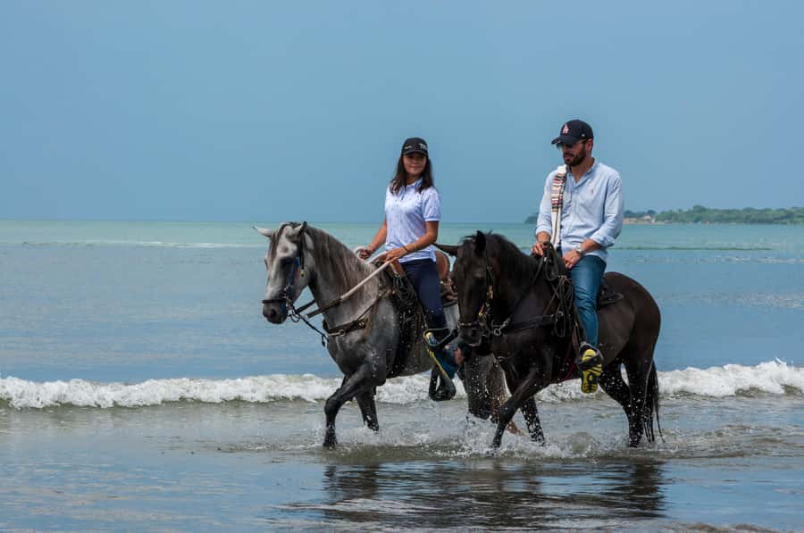 Cartagena: Beach Horse Ride and Colombian Equestrian Culture - Beach Riding Time: Your Horse Match, Then Waves and Sea Breeze