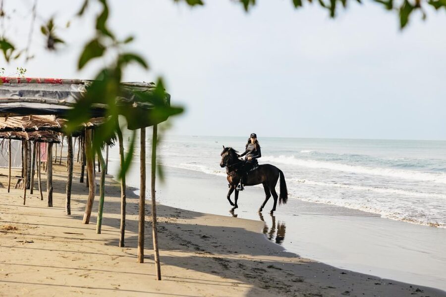 Cartagena: Beach Horse Ride and Colombian Equestrian Culture - What You Actually Do in the Last Stretch: Drinks and a Restaurant Stop