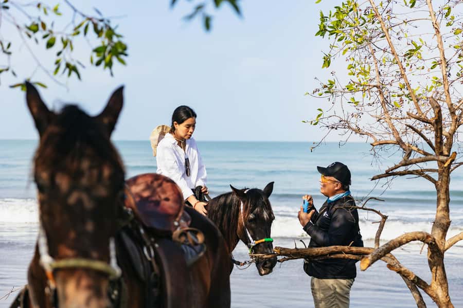 Cartagena: Beach Horse Ride and Colombian Equestrian Culture - Small Group of 6 or Fewer: Why It Changes the Quality