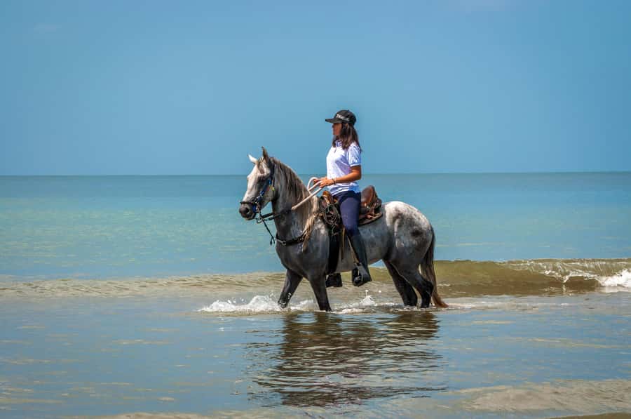 Cartagena: Beach Horse Ride and Colombian Equestrian Culture - Bilingual Guides and Real Ranch Energy: Maria Carolina and Luis in the Mix