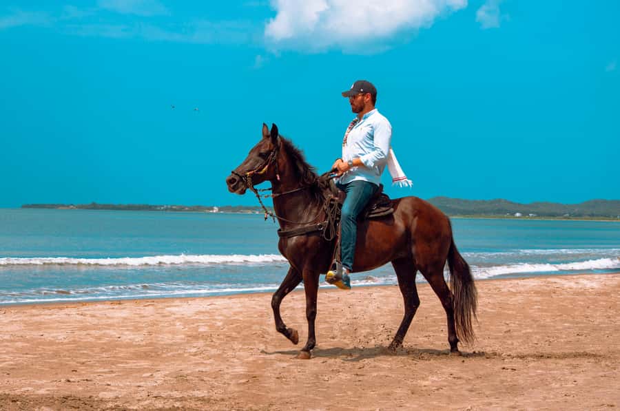 Cartagena: Beach Horse Ride and Colombian Equestrian Culture - Price and Value at $186 Per Person