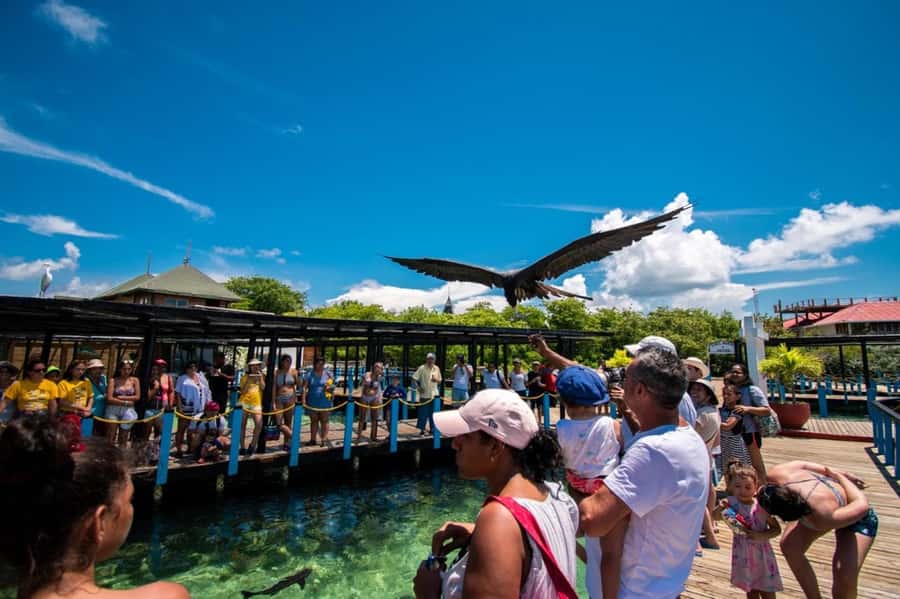 Cartagena: Cholon Island, Playa Blanca and Luminous Plankton - Key highlights worth knowing before you go