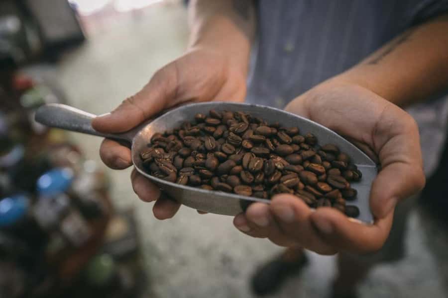 Cartagena Coffee Masterclass: Artisanal Roasting and Brewing - What you take home: 4 to 5 samples and a 200g bag