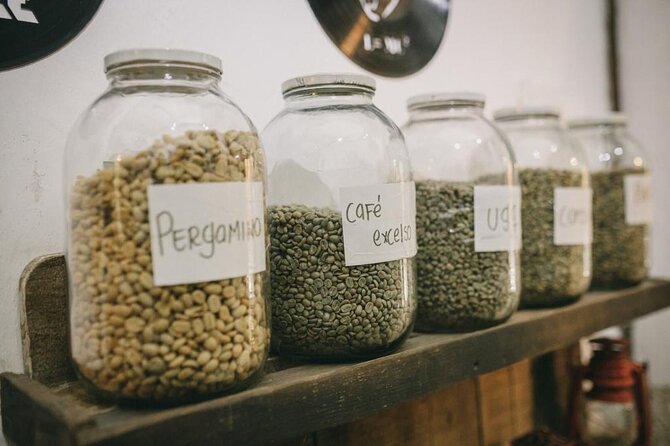 Cartagena Coffee Masters - Stop 1 At Café del Mural: Brewing Styles, Roasting Ideas, and Real Flavor Comparisons