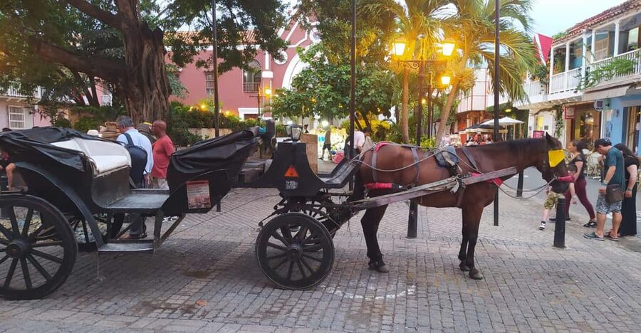 Cartagena: COLLONIAL HORSE DRAWN CARRIAGE by THE OLD CITY - Key highlights you will actually care about