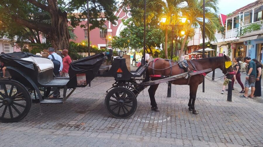 Cartagena: COLLONIAL HORSE DRAWN CARRIAGE by THE OLD CITY - Why a colonial horse carriage is a smart way to see Cartagena’s historic center