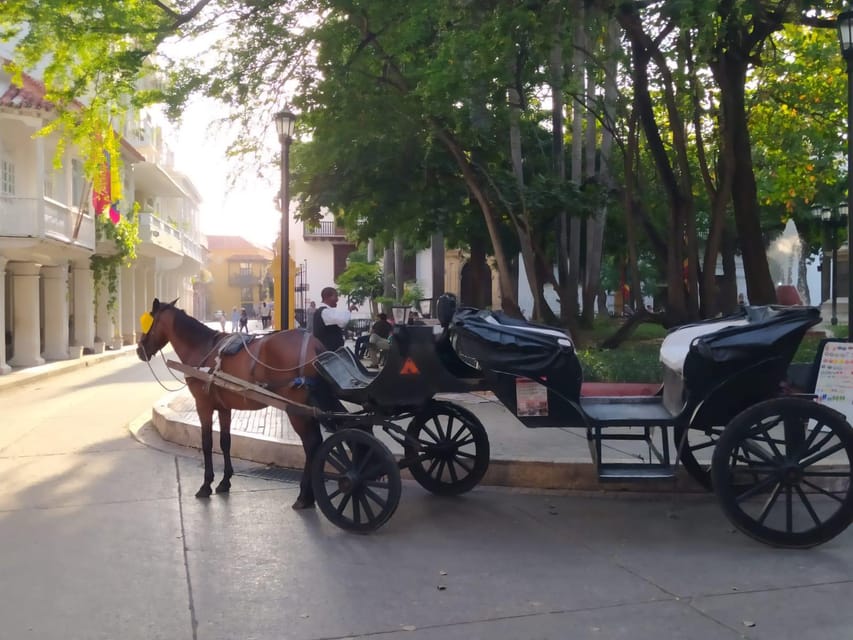 Cartagena: COLLONIAL HORSE DRAWN CARRIAGE by THE OLD CITY - What the bilingual guide actually adds to the ride
