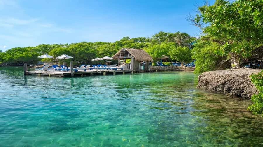 Cartagena: Coralina Island Day Trip with Lunch - Beaches, snorkeling, and mangroves: what you do once you’re there
