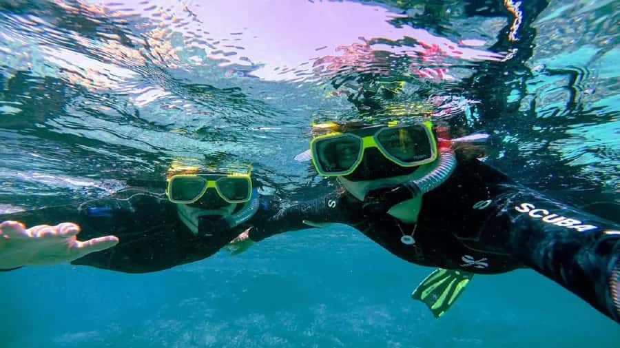 Cartagena: Coralina Island Day Trip with Lunch - Service details that make the day feel smoother
