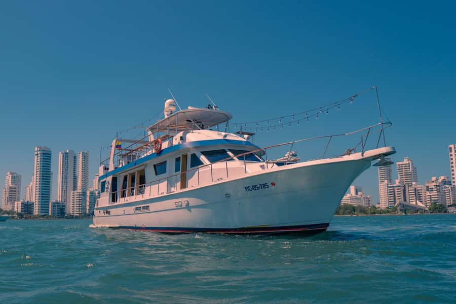 Cartagena: Cruise by the Bay with Dinner and Wine - Price and Value: Why $70 Can Feel Like a Deal or Not