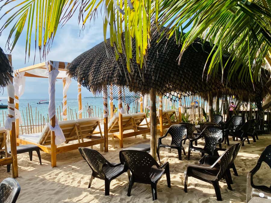 Cartagena: Day Trip Aviary and enjoy Playa Blanca by bus - National Aviary of Colombia: Up Close With Birds in Barú