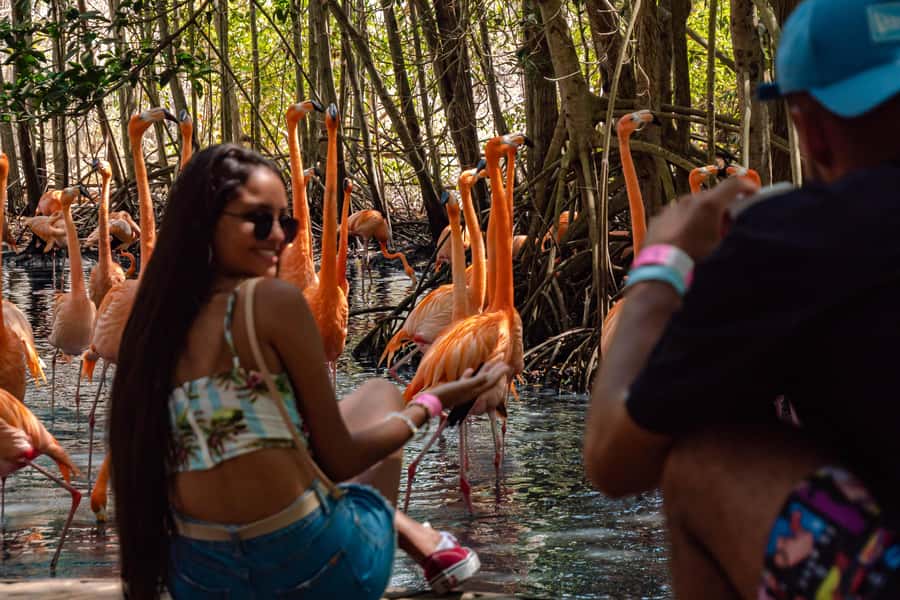 Cartagena: Day Trip Aviary and enjoy Playa Blanca by bus - How the Day Runs From Cartagena: Pickup Timing and Bus Comfort