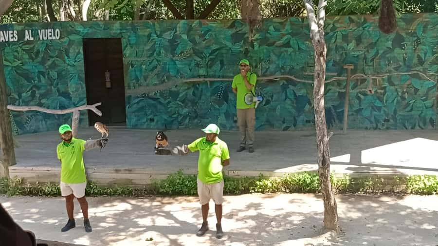 Cartagena: Daytour Aviary and Playa blanca, Barú by bus! - Getting there by bus: pickup windows and your heat plan