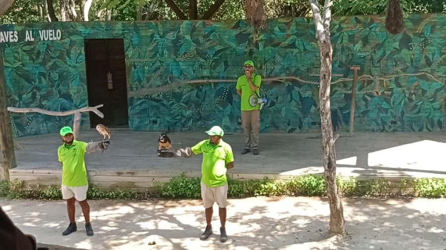 Cartagena:Daytour Aviary with entrance + Playa blanca by bus - How the Aviary + Barú Beach day really feels in Cartagena