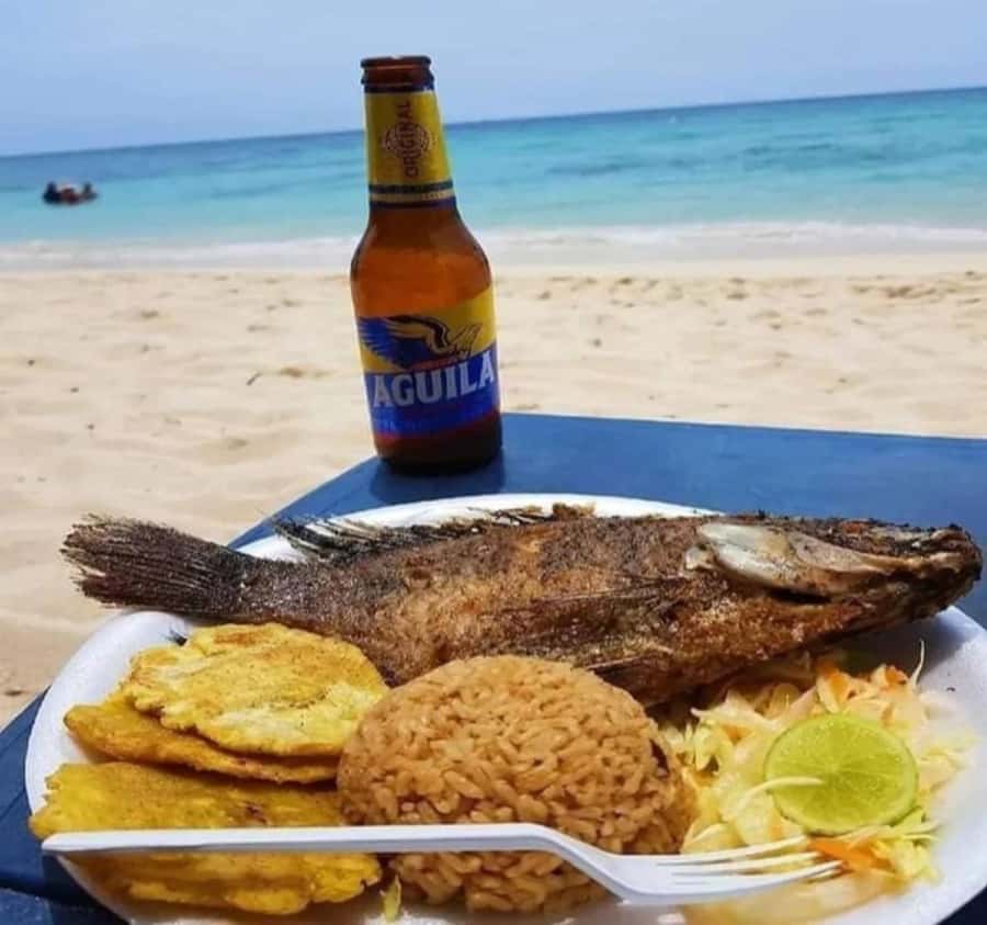Cartagena:Daytour Aviary with entrance + Playa blanca by bus - The Barú transfer and the short walking leg that catches people off guard