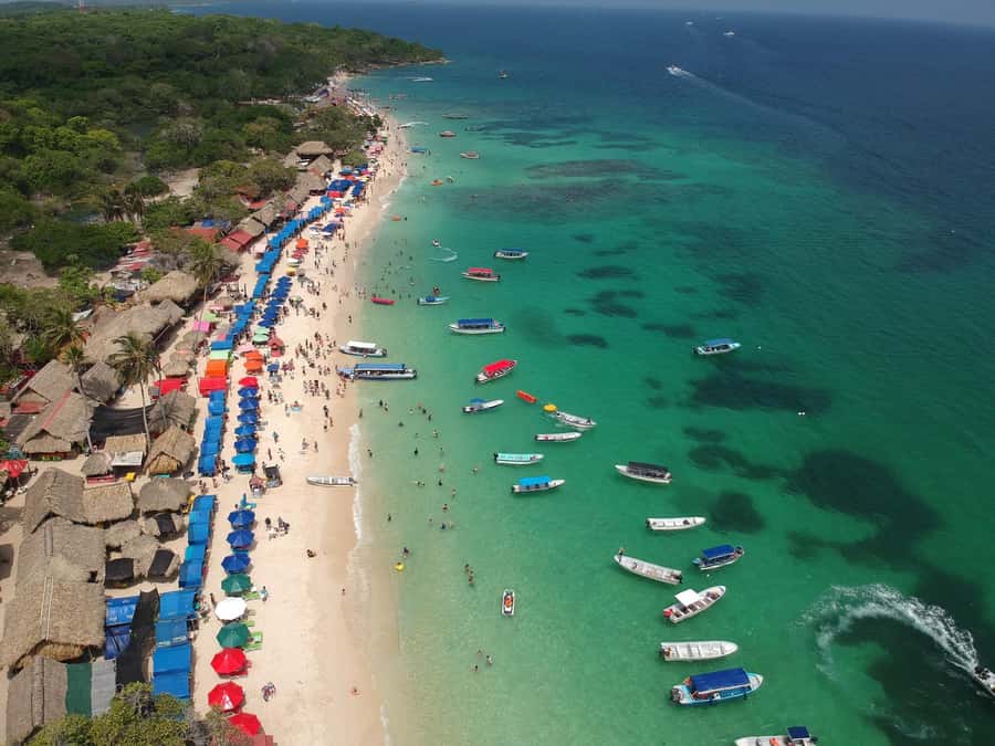 Cartagena:Daytour Aviary with entrance + Playa blanca by bus - The National Aviary of Colombia: where the bird watching does the heavy lifting