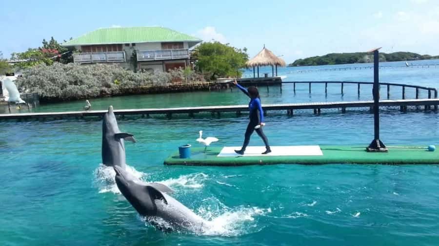Cartagena de Indias: Pasadia 5 Islas del rosario and Baru boat trip - Speedboat day from Cartagena: what makes it feel like a real Caribbean loop