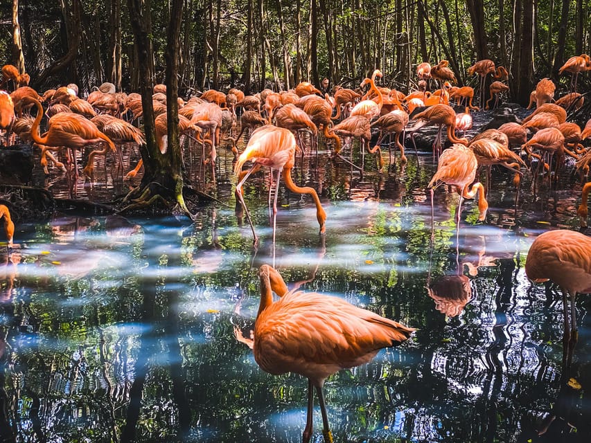 Cartagena: Ecoplan on Barú, Aviary and Oceanarium in one day - Getting to Barú: what the 80-minute coach ride feels like