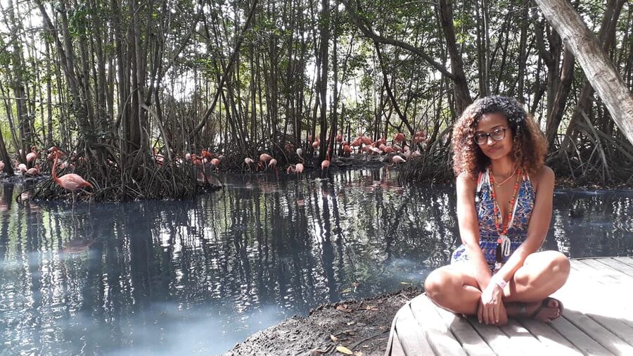 Cartagena: Ecoplan on Barú, Aviary and Oceanarium in one day - Boat rides and free time on Barú Island: how to use your hour