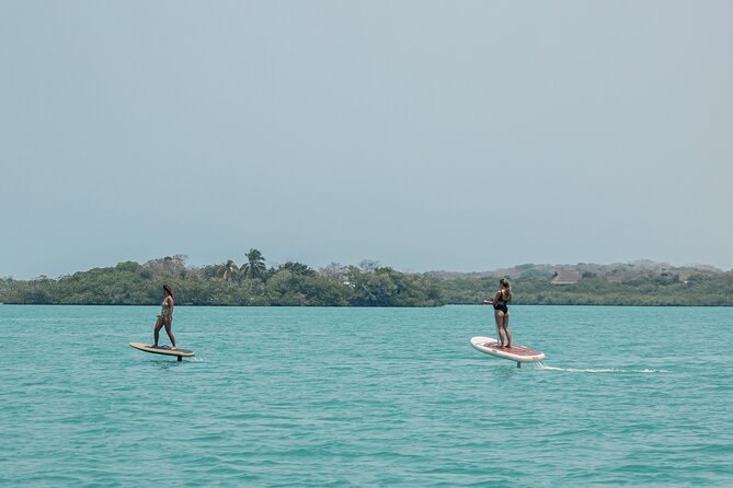 Cartagena Efoil FliteBoard Baru con transport y daypass - Baru Mangroves and Wildlife Odds: Nature Time After the Adrenaline