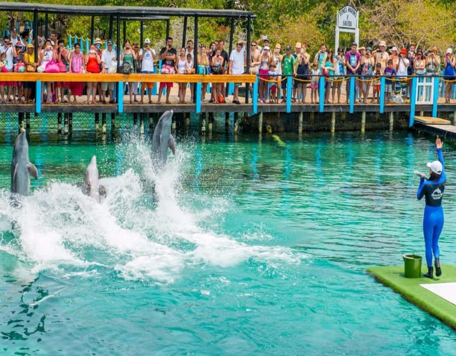 CARTAGENA: EXCURSION to the Rosario Islands by boat and white beach by bus. - Cartagena to Barú by van: the first hour sets your whole pace