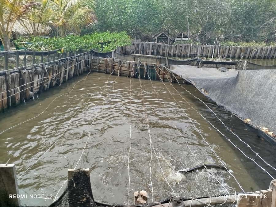 Cartagena: FISHERMEN'S ISLAND IN THE MANGROVES by canoe - Small Tips That Make It Smoother