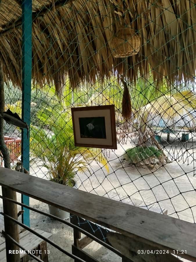 Cartagena: FISHERMEN'S ISLAND IN THE MANGROVES by canoe - The Canoe Ride: Raft Transfers, Mangrove Tunnels, and Wildlife Sounds