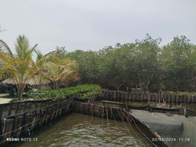FISHERMEN’S ISLAND IN THE MANGROVES by canoe