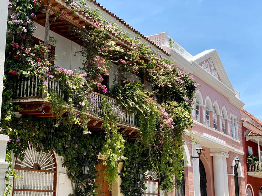 Cartagena: History, Culture & Coffee Experience - Centenario Park and the Animal Interlude That Breaks Up the Heat