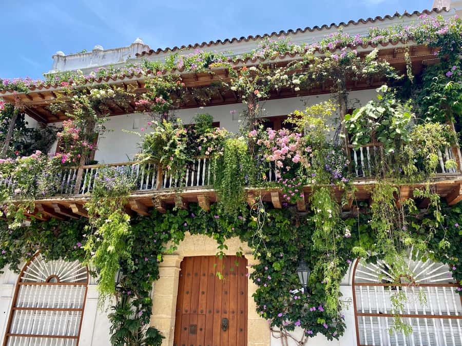 Cartagena: History, Culture & Coffee Experience - Coffee Tasting: Why This Stop Feels Like a Cultural Connector