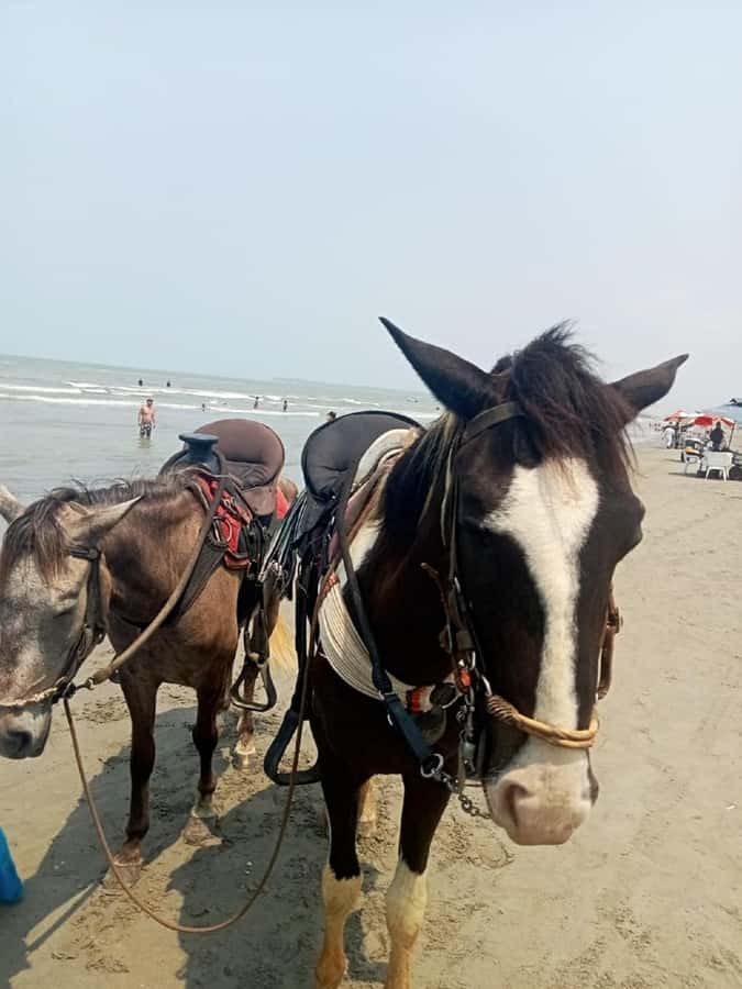 Cartagena: Horse Riding on the Beach with Photos and Lunch - Los Morros Start: Quick Context Before You Mount