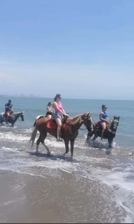 Cartagena: Horse Riding on the Beach with Photos and Lunch - How Pickup and the Meeting Point Work (Portovento and Sonesta)