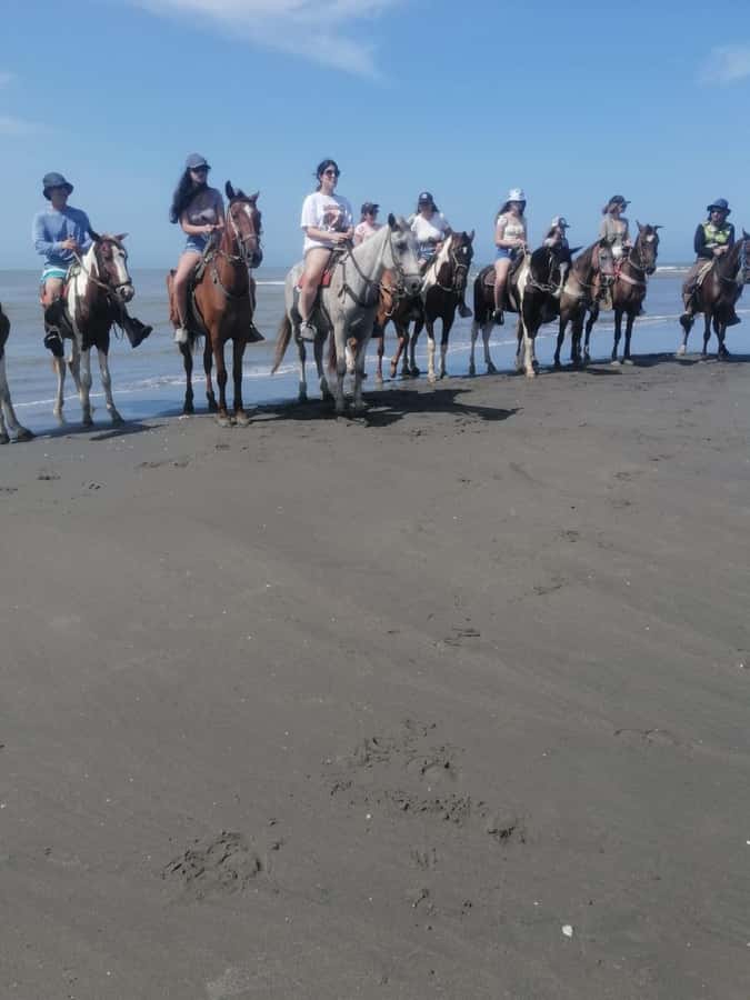 Cartagena: Horse riding on the beaches of Cartagena & PHOTOS - The ride itself: gentle pace, trot in the shallows, and time to just enjoy it