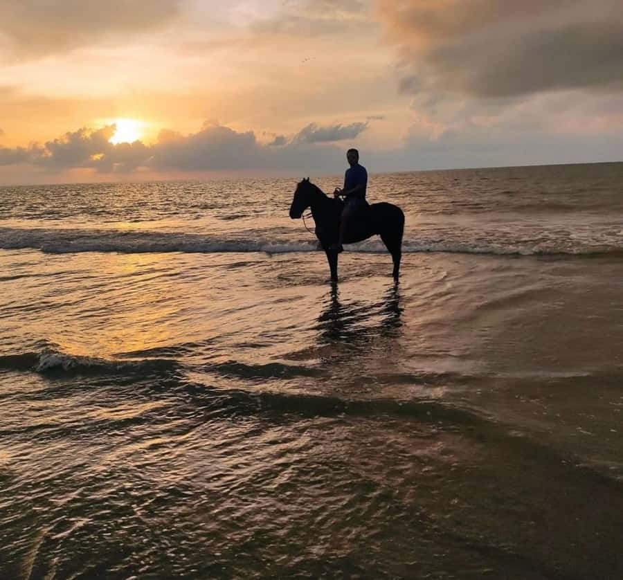Cartagena: Horseback Ridding Excursion on the Beach - Beach horseback riding near Cartagena, Manzanillo’s shoreline route