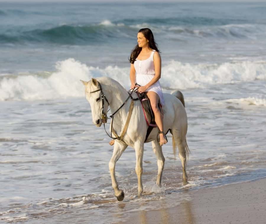 Cartagena: Horseback Riding on the Beach at Sunset - Key highlights at a glance