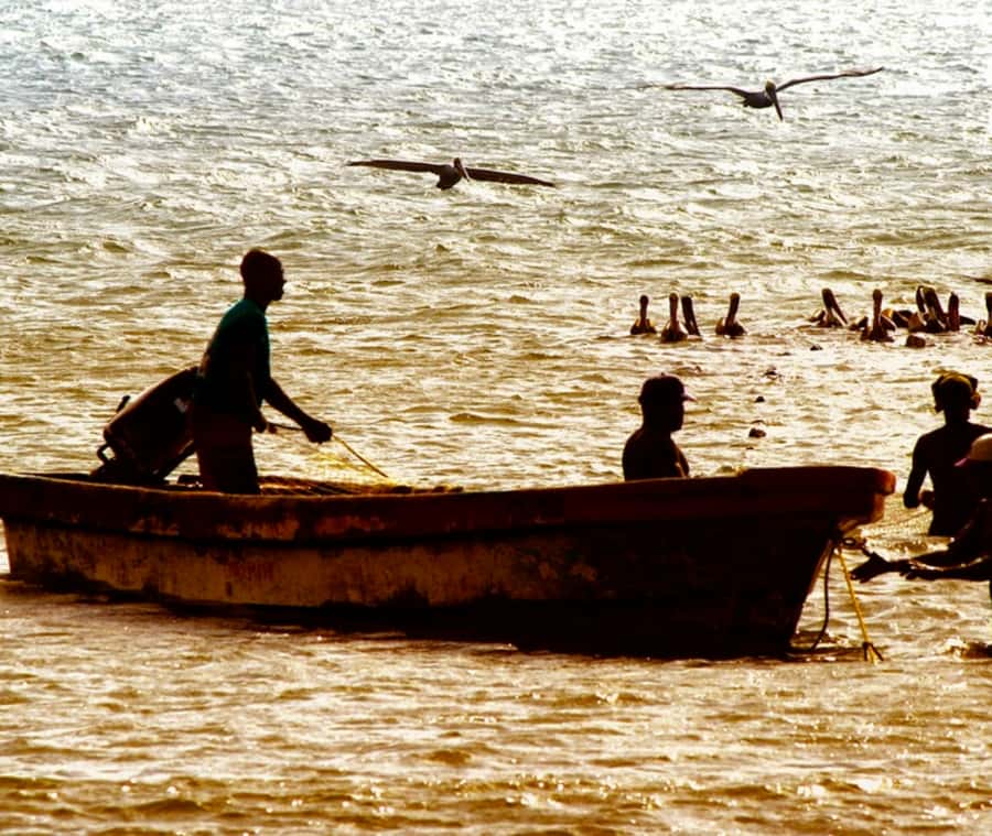 Cartagena: Horseback Riding on the Beach at Sunset - Why a La Boquilla Sunset Horse Ride Feels More Cartagena Than City Sights
