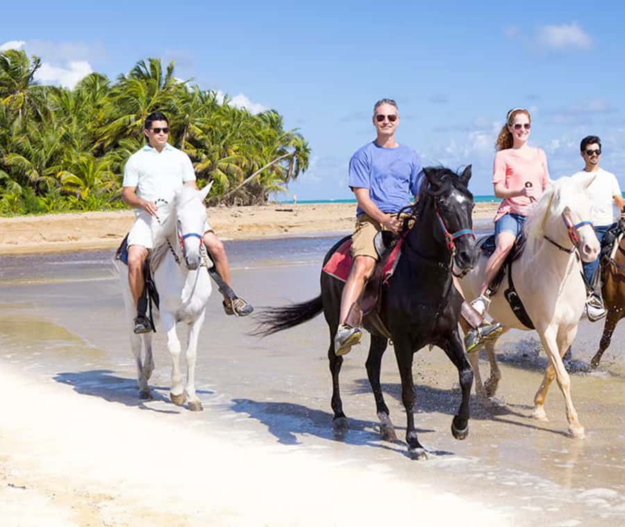 Cartagena: Horseback Riding on the Beach at Sunset - The 1.5-Hour Format: What You’ll Do, Step by Step