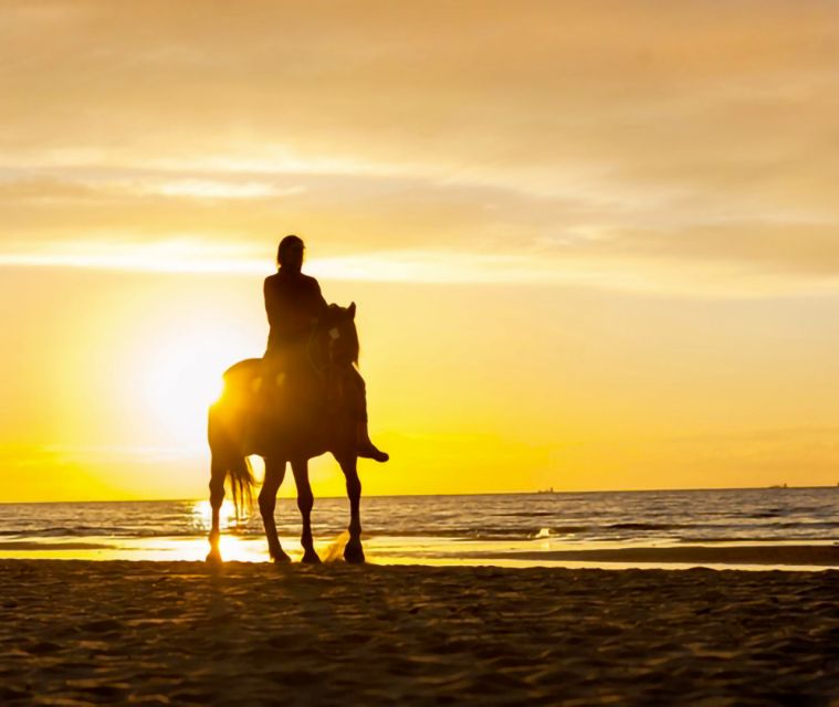 Cartagena: Horseback Riding on the Beach at Sunset - Riding Into Sunset: Calm Horses, Wet Legs, and Real Photo Opportunities