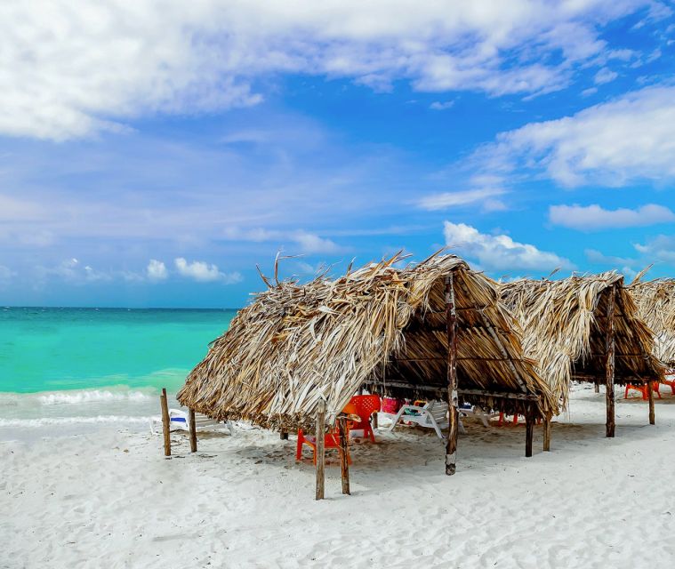 Cartagena: Horseback Riding on the Beach at Sunset - Traditional Caribbean Lunch: A Worthy Add-On That Changes the Value