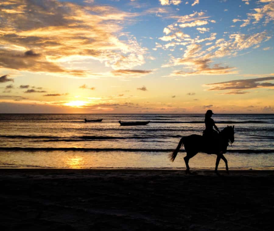 Cartagena: Horseback Riding on the Beach at Sunset - What to Pack (Besides the Camera), Given Wet Horses and Beach Work