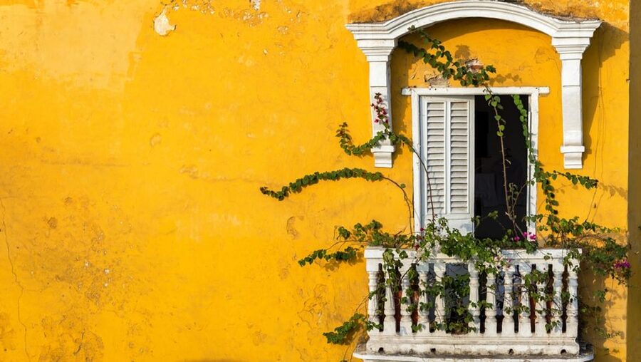 Cartagena Instagram Mobile Workshop: Scenic and Trendy Shots - Price and value: is $75 fair for a 2-hour workshop?