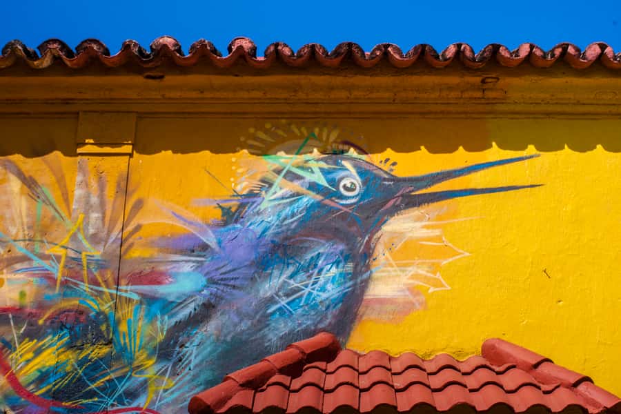 Cartagena Instagram Mobile Workshop: Scenic and Trendy Shots - Getsemaní street art walls: your best camera is your feet