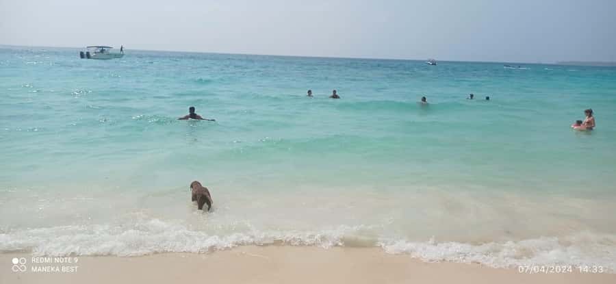 Cartagena: LUMINOUS PLANKTON, Playa Blanca Barù and Lunch - Lunch on Barú: fish, chicken, or vegetarian, and how to avoid timing trouble